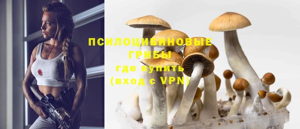 сатива Краснотурьинск