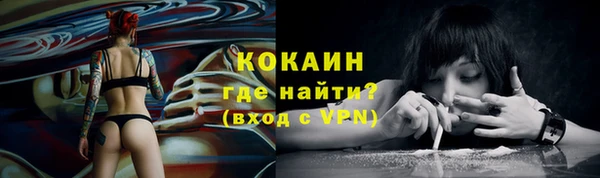 дурь Краснослободск