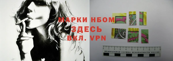 сатива Краснотурьинск