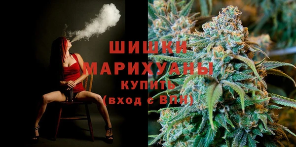 дурь Краснослободск