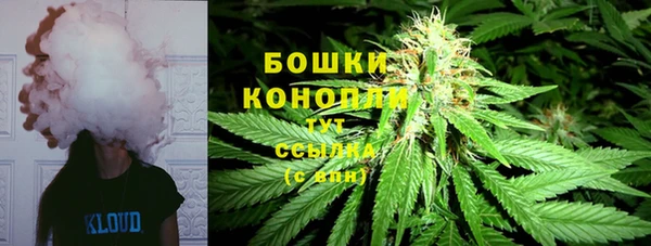 сатива Краснотурьинск