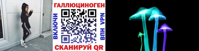 Псилоцибиновые грибы MAGIC MUSHROOMS  цены наркотик  Петровск-Забайкальский 
